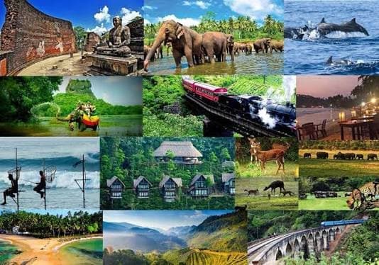 Srilanka